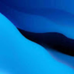 Meet your Posher, Guinevere